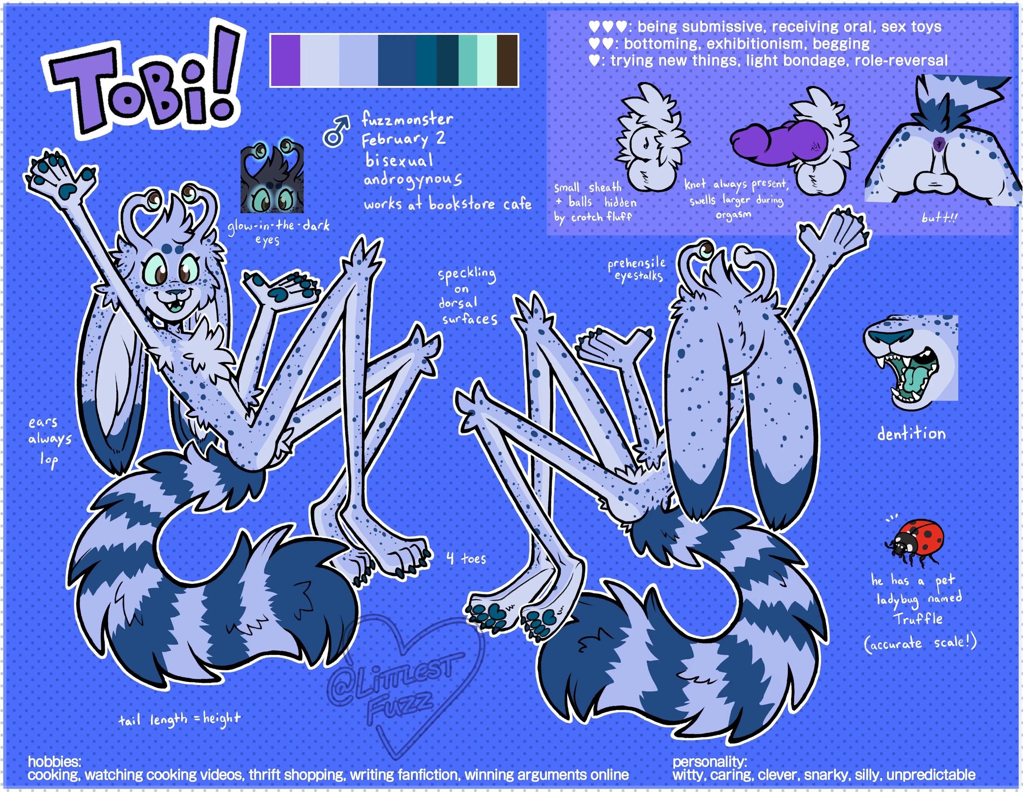 a reference sheet for Tobi the fuzzmonster. he is covered with fluffy light blue fur, with even lighter countershading, and darker blue speckles. he is extremely skinny, with long dipstick lop ears. he has a long blue tail with seven blue rings, and a pair of prehensile eyestalks.